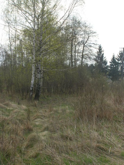 Działka inwestycyjna Michałów-Reginów