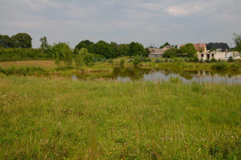 Działka kolonia