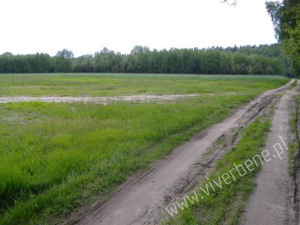 Działka Kruszówiec
