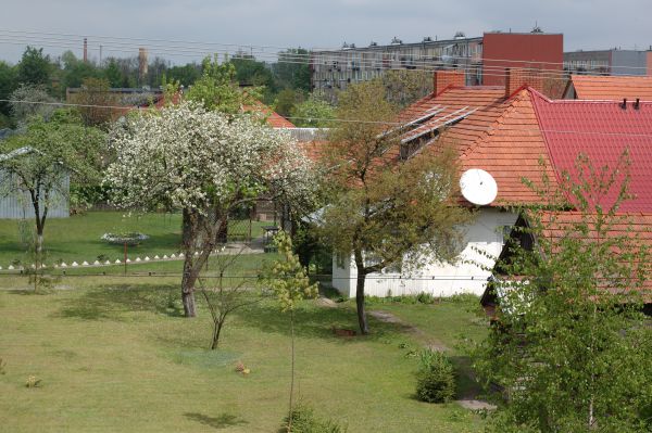 Dom Hajnówka