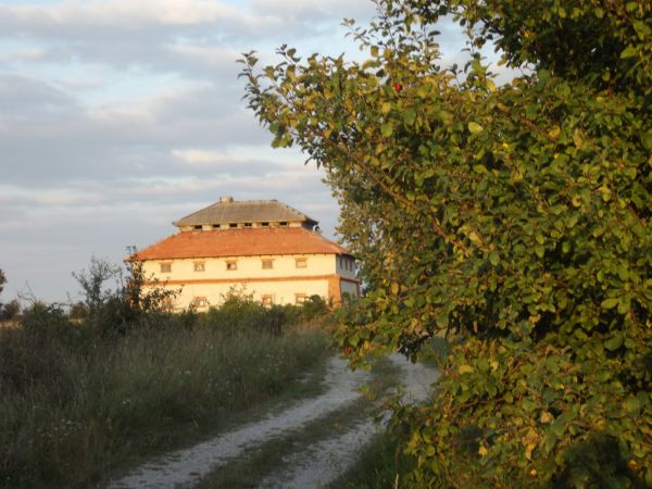 Budynek użytkowy Zawalów