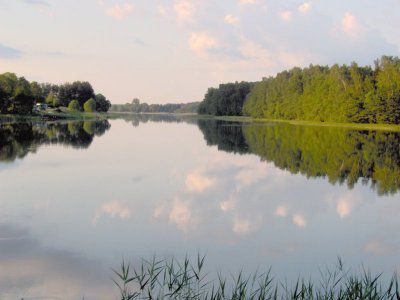 Działka rekreacyjna Serwy