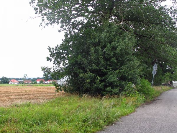 Działka budowlano-rolna Lubin