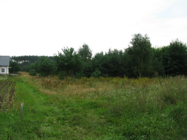 Działka siedliskowa Brończany