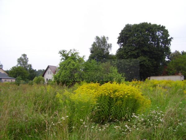 Działka budowlana Żółwin