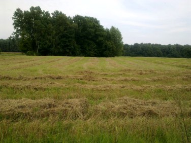 Działka budowlano-rolna Tomaszów