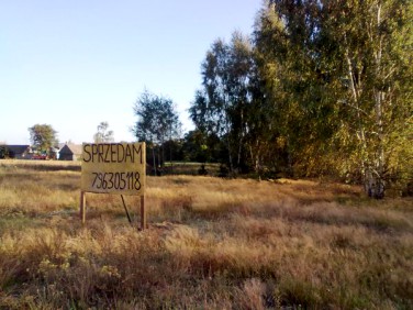 Działka rolna Kirsztajnów