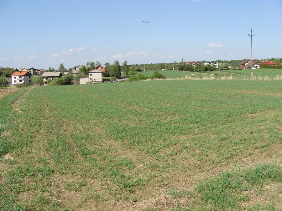 Działka budowlana Czaniec