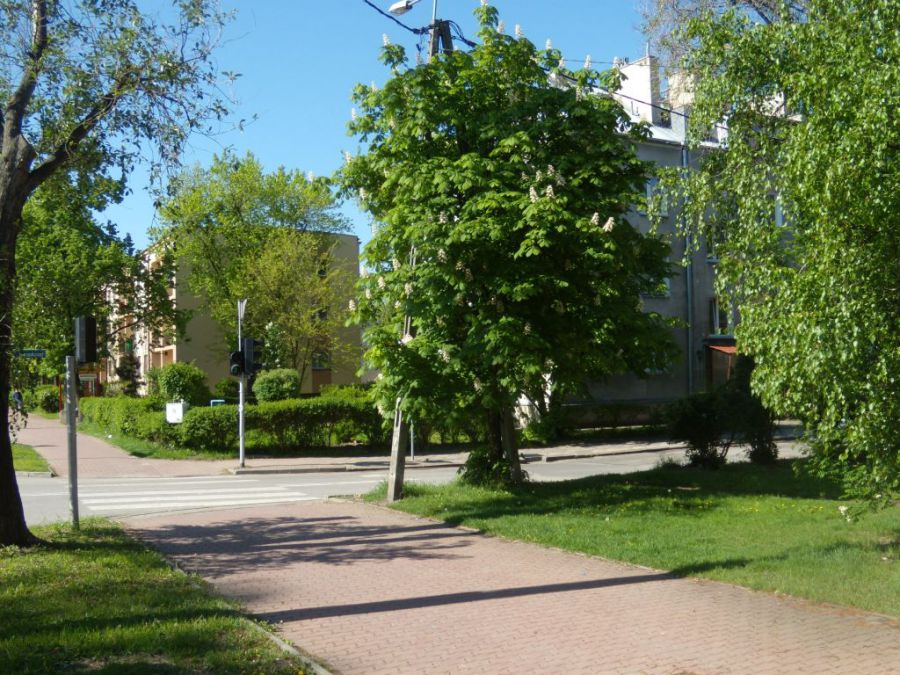 Mieszkanie Piastów