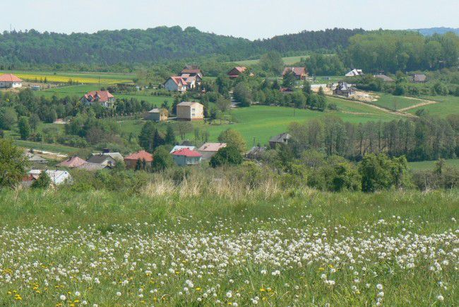 Działka rolna Brzoskwinia
