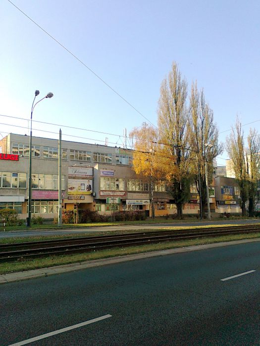 Lokal Warszawa