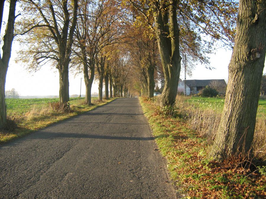 Działka budowlana Dębice