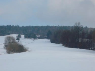 Działka rekreacyjna Smerekowiec