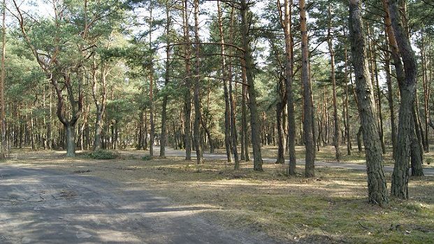 Działka budowlana Warszawa