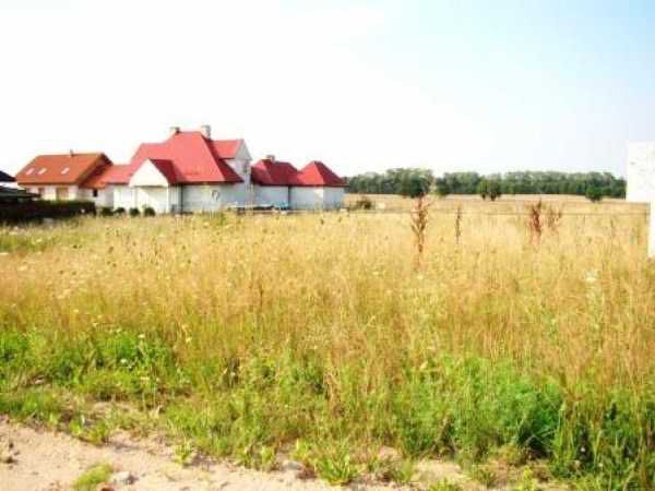 Działka przy lesie