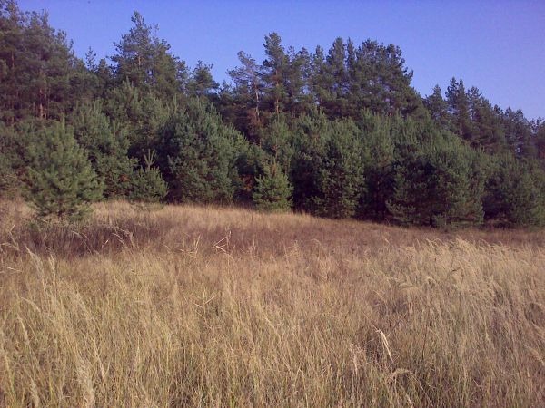 Działka budowlana Staszów