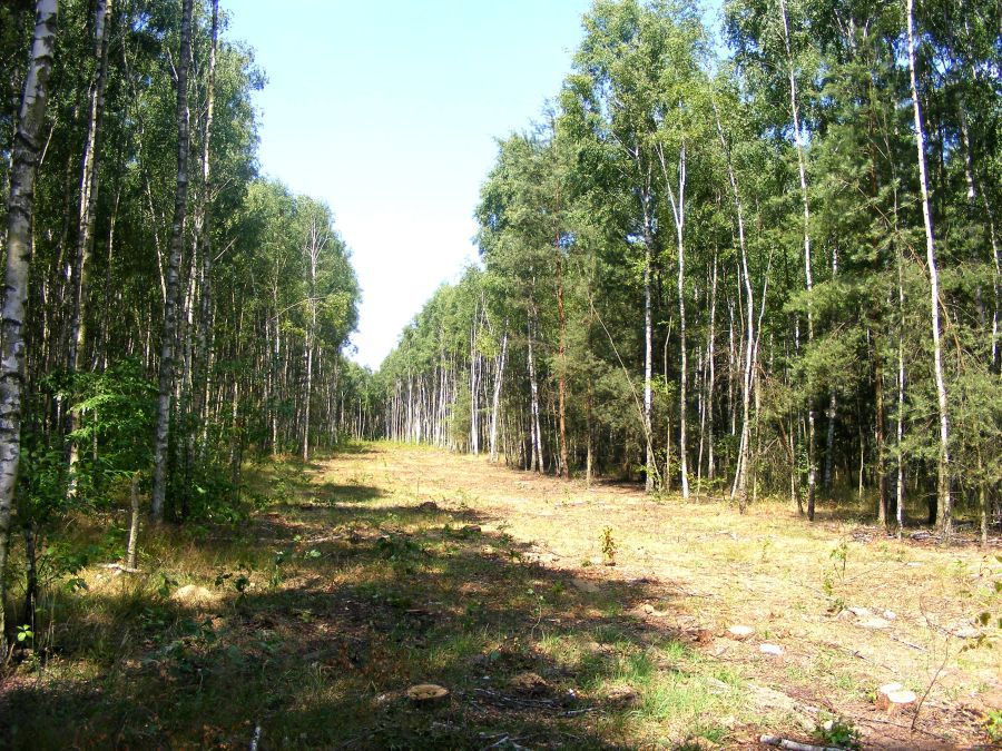 Działka budowlana Skórka