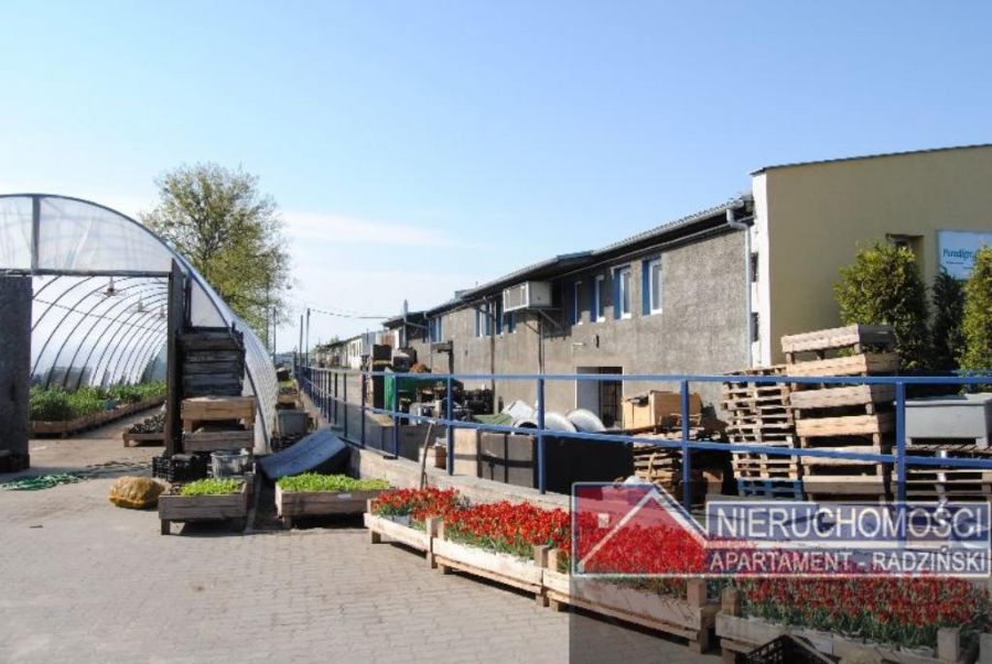 Lokal Strzelce Krajeńskie