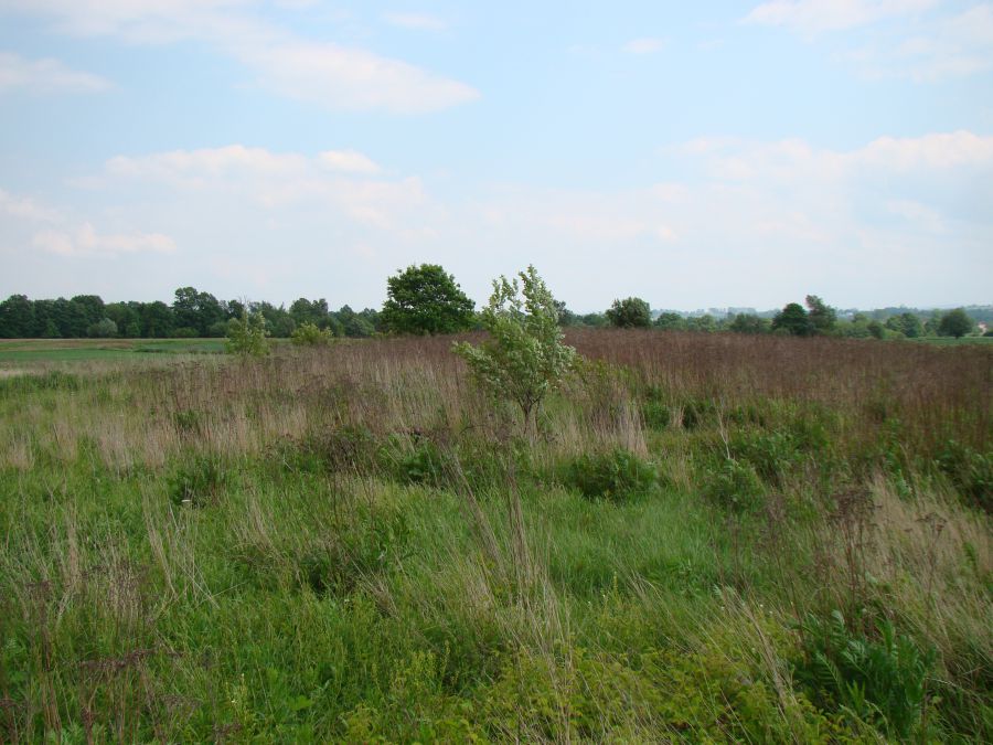 Działka budowlano-rolna Pozowice