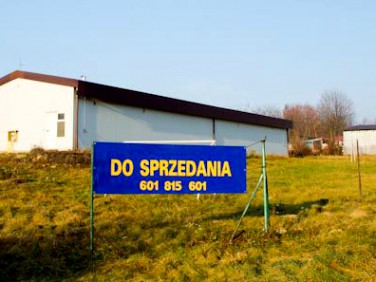 Lokal Kraśnik
