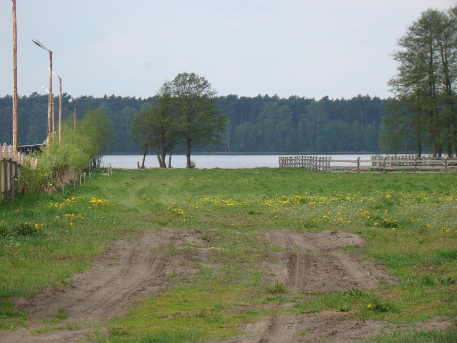 Działka Szczutowo
