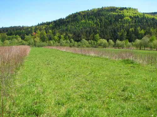 Działka rekreacyjna Jaroszowice
