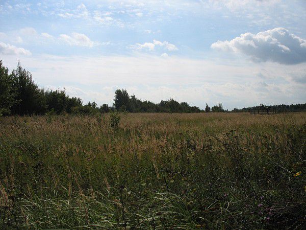 Działka budowlana Miłogostowice
