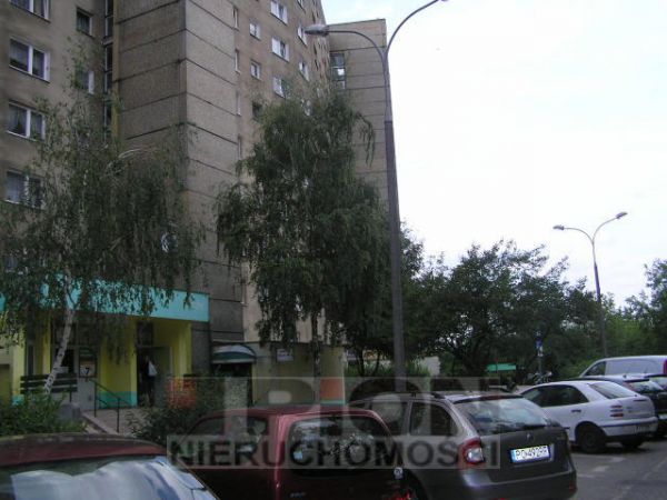 Mieszkanie Poznań sprzedaż