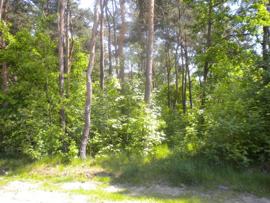 Działka budowlana Legionowo