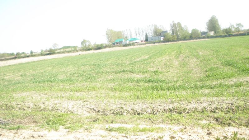 Działka rolna Wola Krzysztoporska sprzedam
