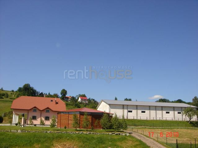Lokal Stryszów
