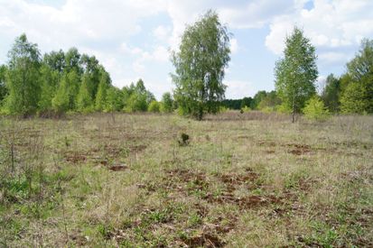 Działka budowlana Łódź