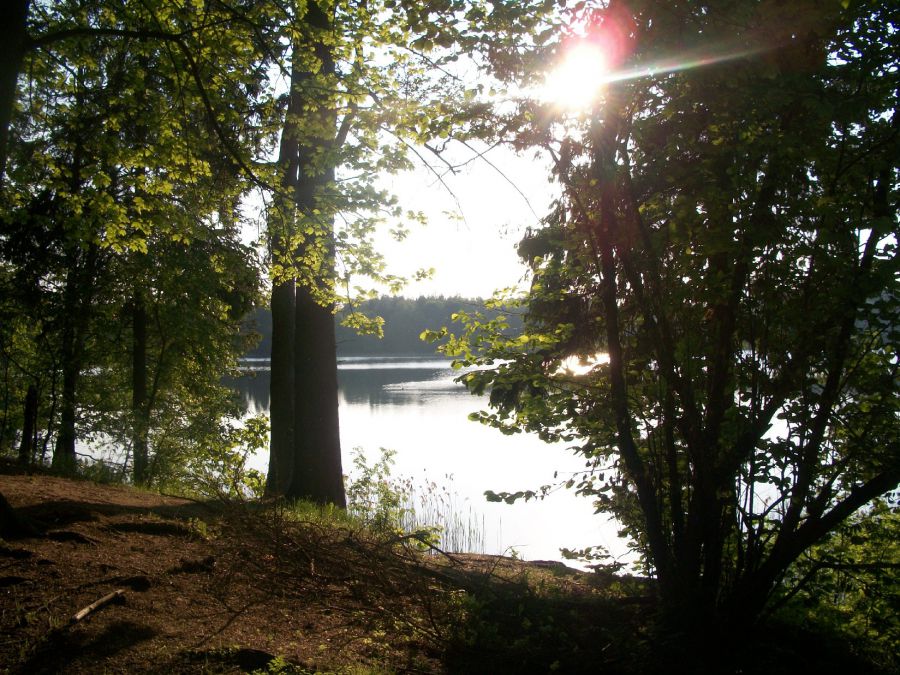 Działka nad jeziorem