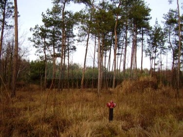 Działka budowlana Osowiec