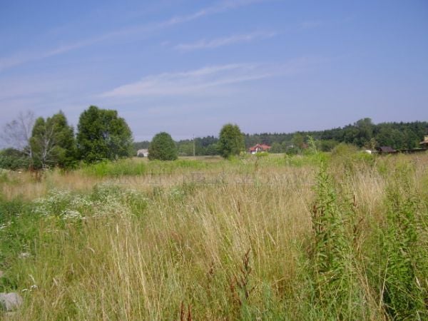 Działka budowlana Stara Wieś