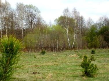 Działka budowlana Jaktorów