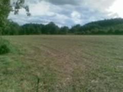 Działka budowlano-rolna Pąchy sprzedam