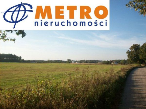 Działka rolna Dąbrowa Chełmińska
