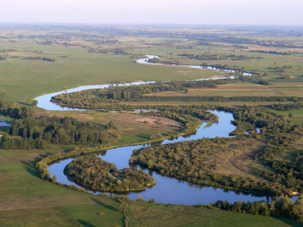 Działka rekreacyjna Tomczyce