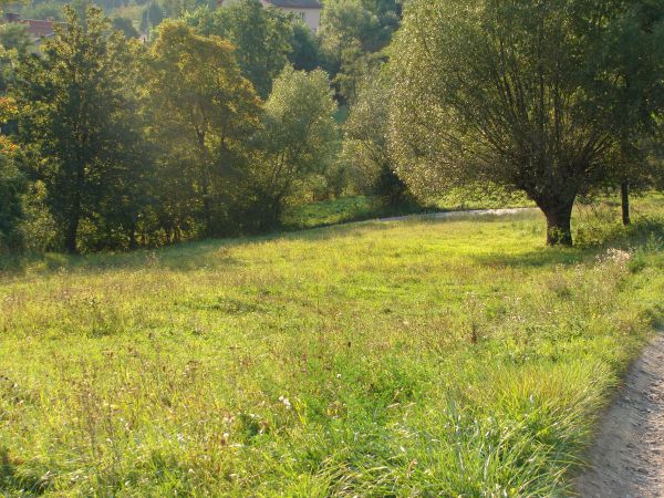 Działka budowlana Biczyce Dolne