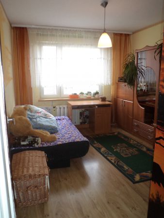 Mieszkanie Chojnów