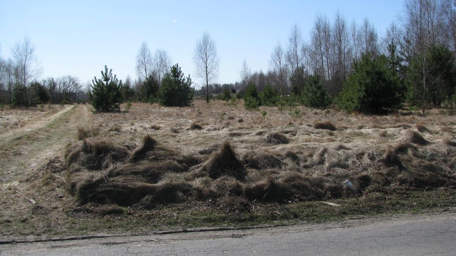 Działka budowlana Grabanów