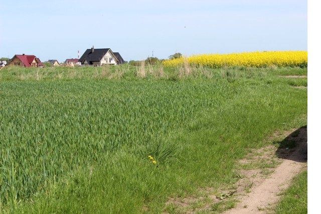 Działka budowlano-rolna Stargard Szczeciński