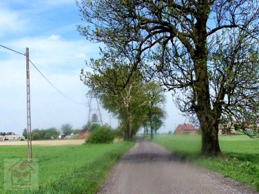 Działka budowlana Dobrcz