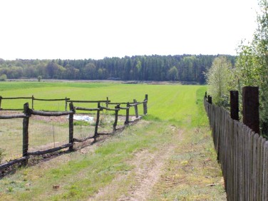 Działka budowlana Chojno