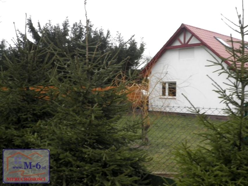 Zdjęcie 3