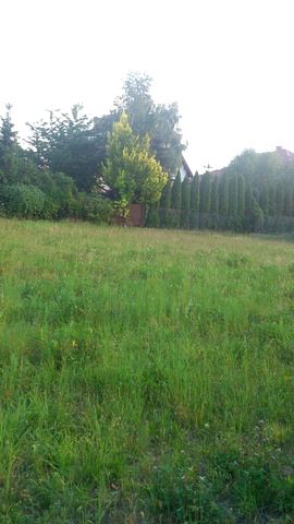 Działka budowlana Nieporęt