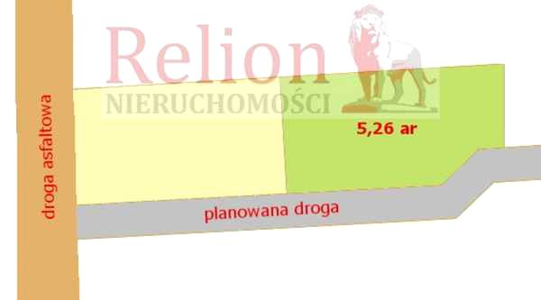 Działka przy lesie