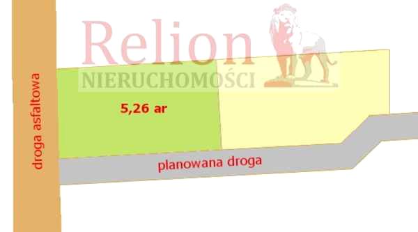 Działka przy lesie