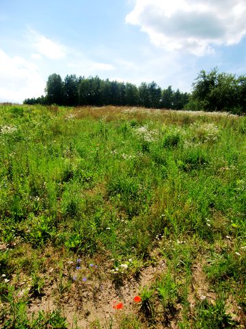 Działka budowlana Gołkowice
